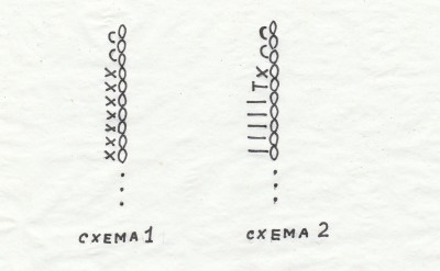 водоросли 1,2,3